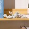 Home Decor Pulp Reading Women Thinker Statue Aesthetic Sculpture Room Decor Modern Abstract Decoration on Shelf Table Desk for Living Room Office Bedroom H